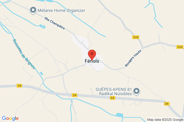 Fenol Services
