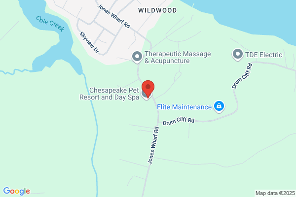 Chesapeake Pet Resort