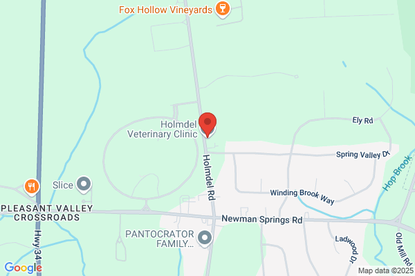 Holmdel Veterinary Clinic