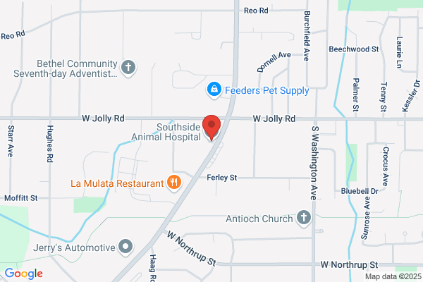 Southside Animal Hospital