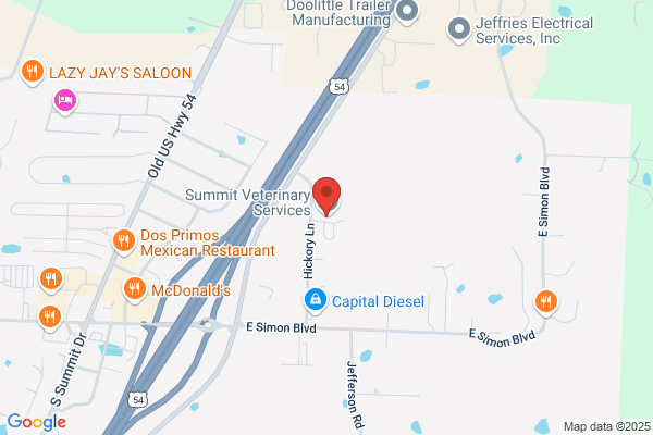 Animal Clinic of South Callaway PC