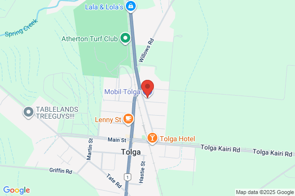 Tolga Gas Station