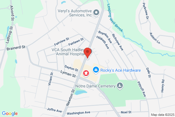 Byte Federal Bitcoin ATM (Stop N Go)