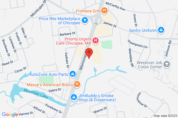 Advance Auto Parts