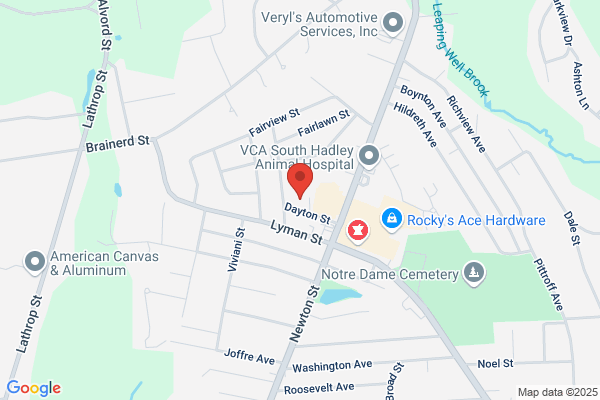 South Hadley Town of, Council On Aging