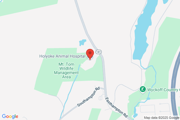 Holyoke Animal Hospital
