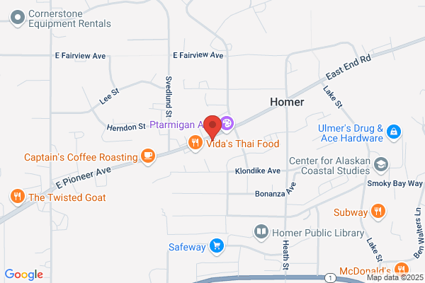 HORIZON SATELLITE LLC