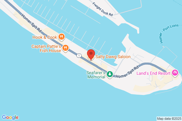 Salty Dawg Saloon