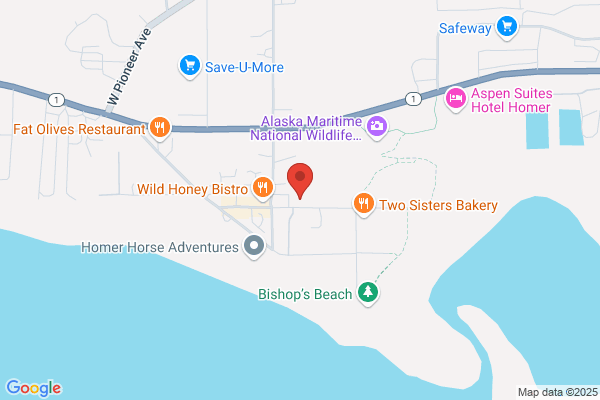 Alaska by the Sea-Homer Seaside Cottage