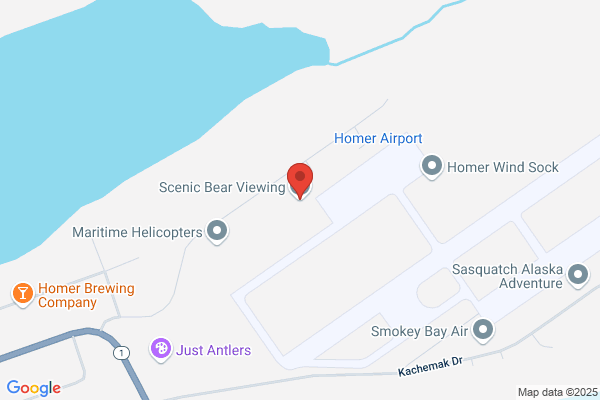 Scenic Bear Viewing