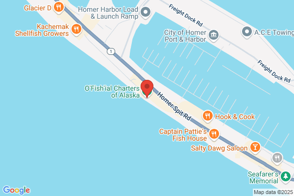 O'Fish'ial Charters