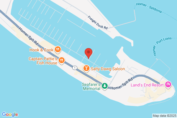 Homer Bear Viewing Tours