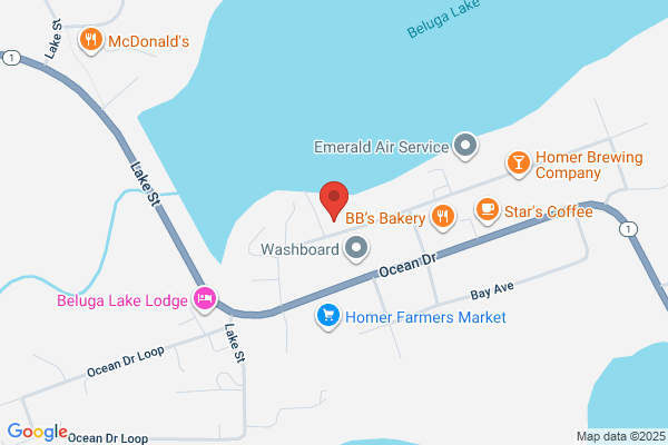 Kachemak Bay Flying Service Inc