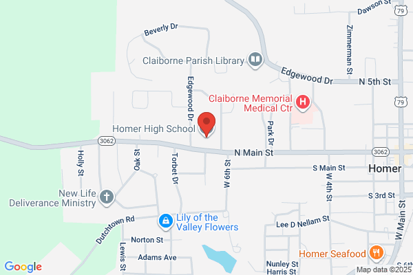 Homer High School