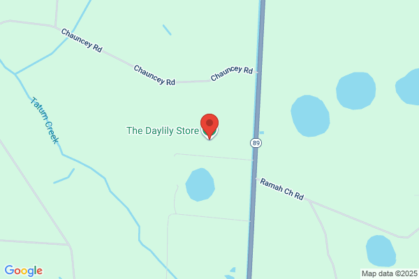 thedaylilystore.com