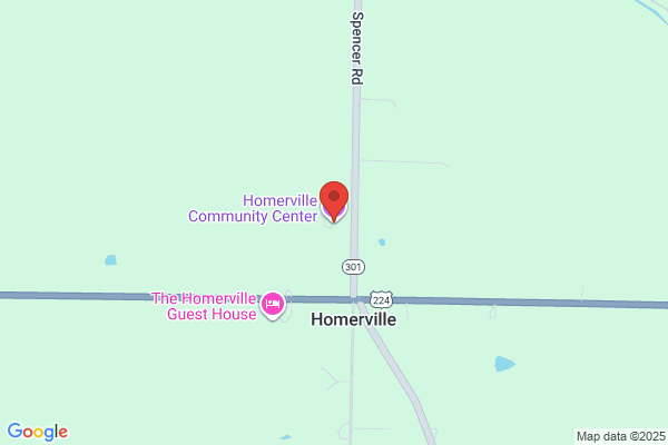 Homer Township, Hall