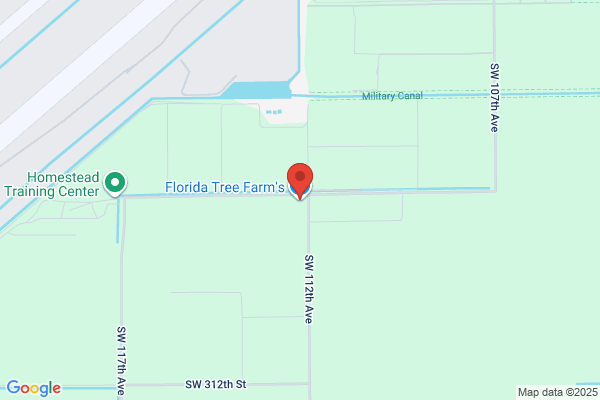 Florida Tree Farm's Inc
