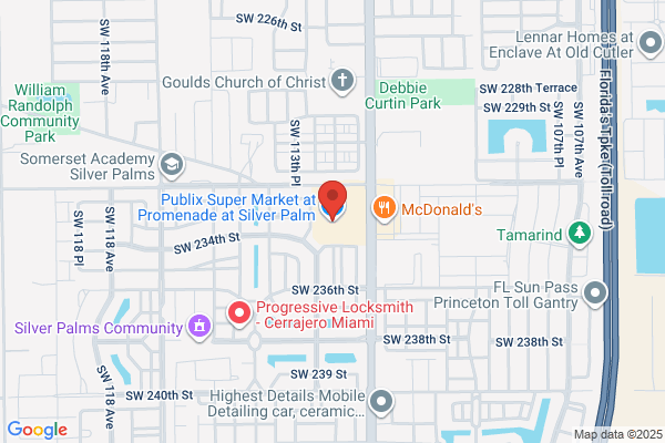 Publix Super Market at Promenade at Silver Palm