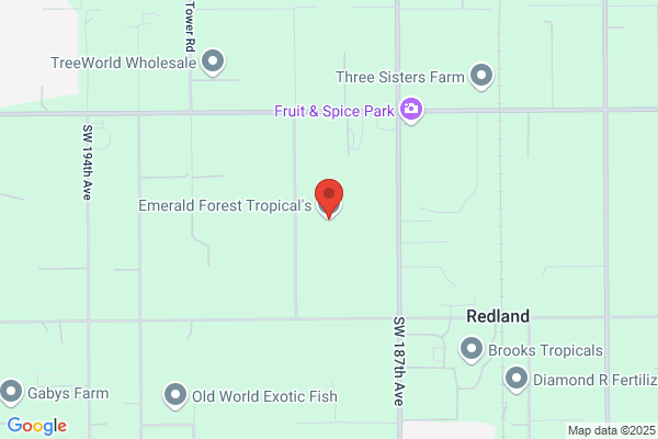 Emerald Forest Tropicals