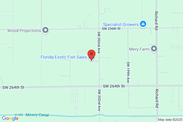 Florida Exotic Fish Sales
