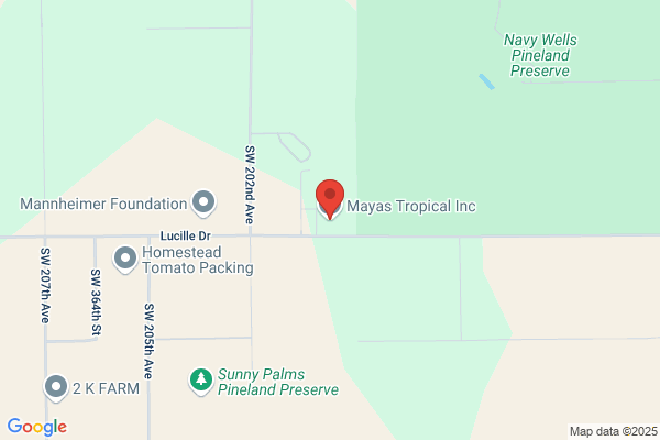 Mayas Tropical INC