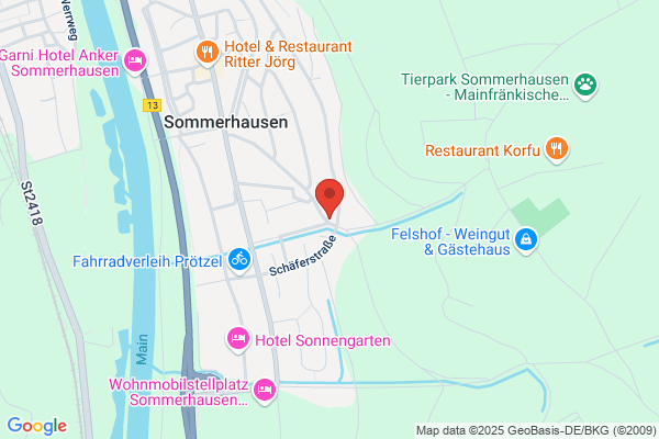 Environmental Director