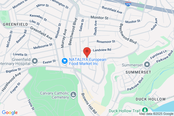 Ackerman Tree Services