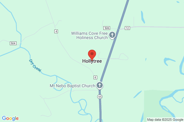 Holly Tree the Inc