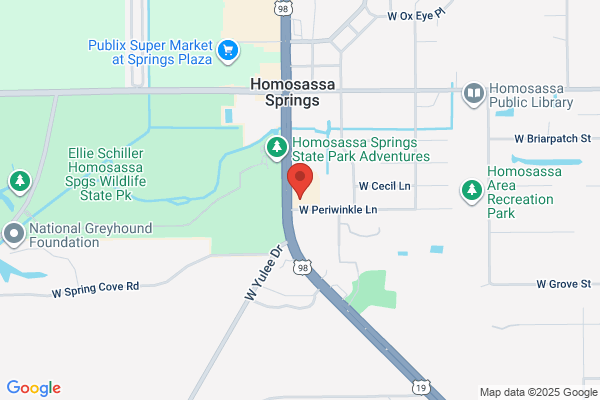 Advance Auto Parts