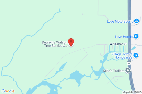 Watson Tree Service & Sawmill