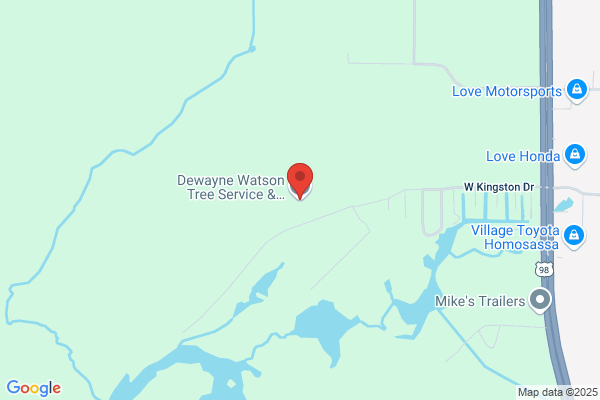 Watson Tree Service & Sawmill