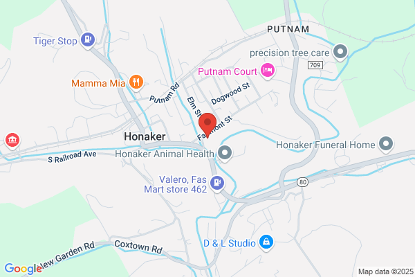 The Bank of Honaker