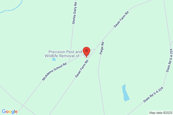 Precision Pest And Wildlife Removal of Anderson County