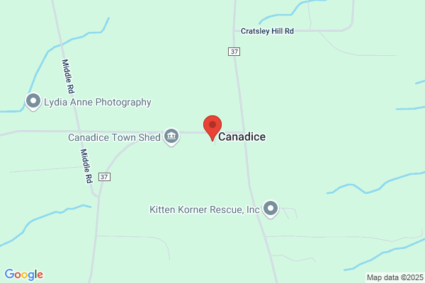 Canadice Farm Antiques