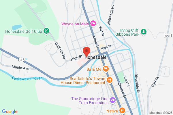 Health Services, Wayne Memorial Hospital, Home Health Services