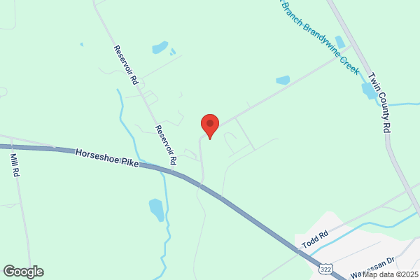 Brandywine Precision
