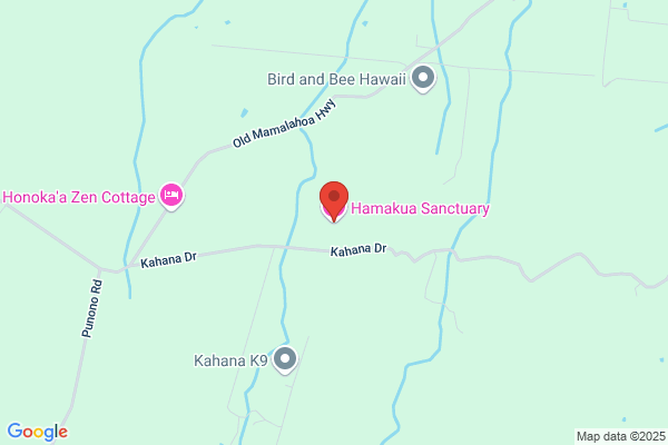 Hamakua Hideaway