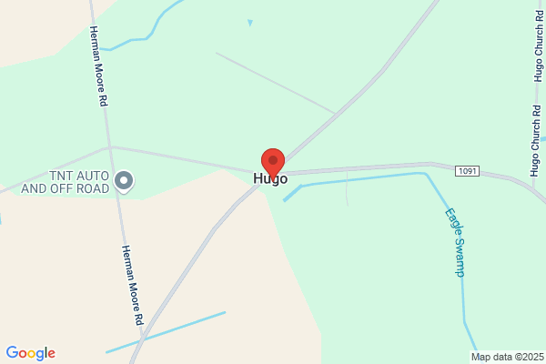 Hugo Grocery
