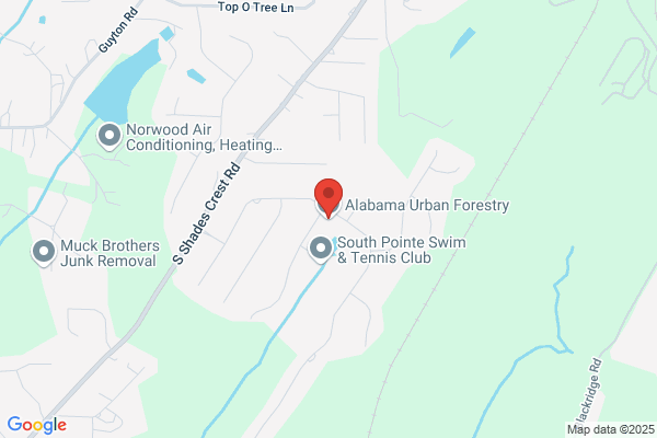 Alabama Urban Forestry