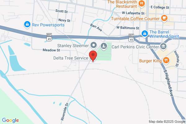 Delta Tree Service