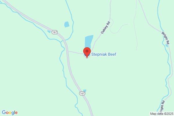 Stepniak Wm Jr Slaughterhse