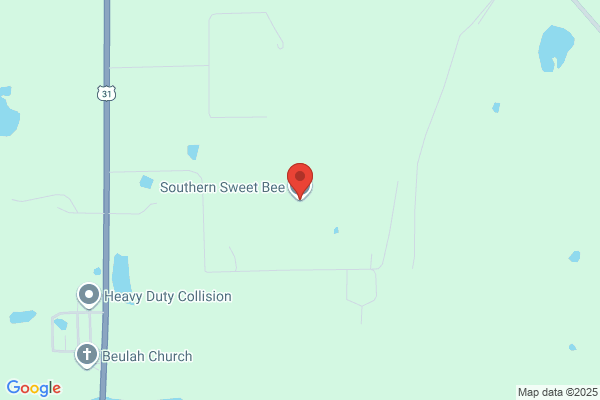 Southern Sweet Bee