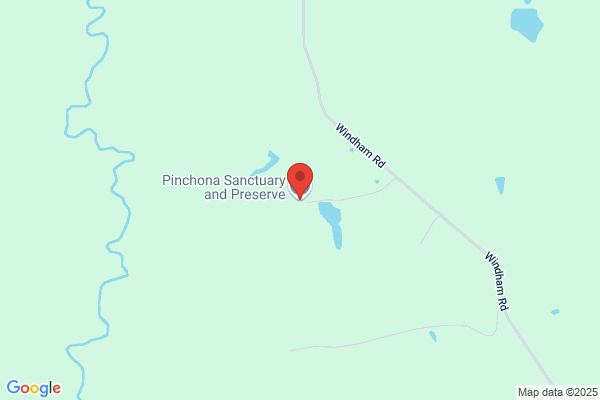 Pinchona Farm
