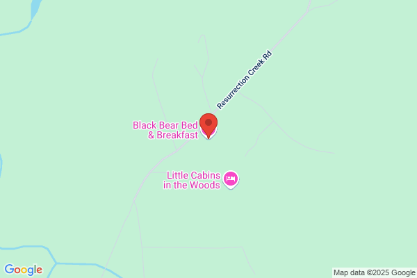 Black Bear B & B