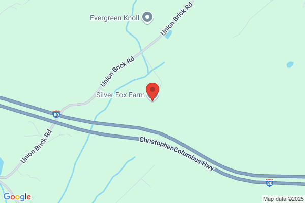 Silver Fox Farm
