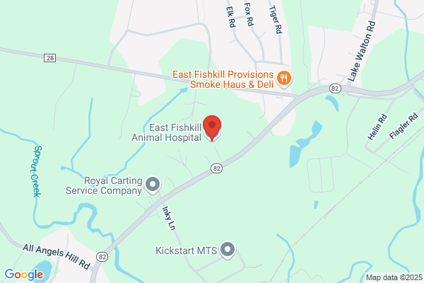 East Fishkill Animal Hospital