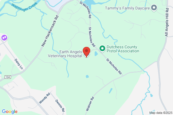 Earth Angels Vet Hospital