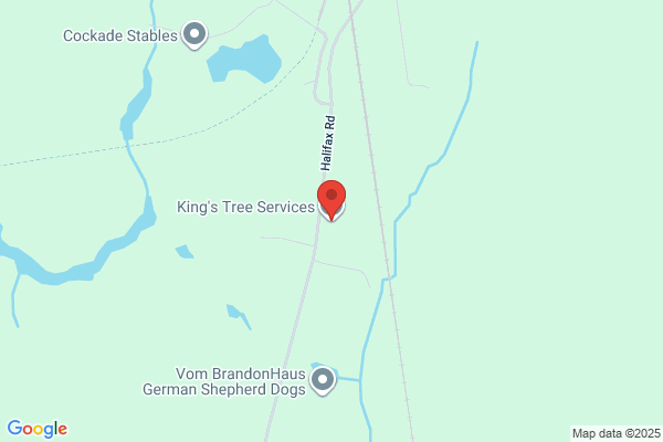 Kings Tree Service