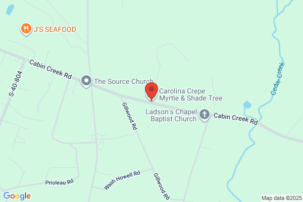 Carolina Crepe Myrtle & Shade Tree LLC