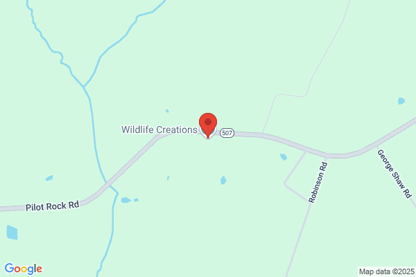 Wildlife Creations